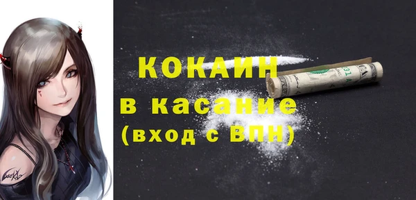крисы Коряжма