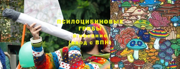крисы Коряжма