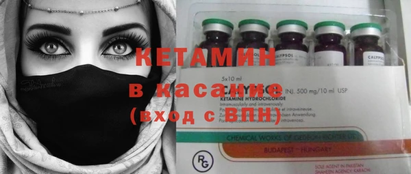 крисы Коряжма