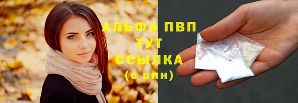 крисы Коряжма