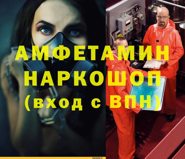 крисы Коряжма