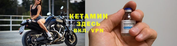 ешки Корсаков