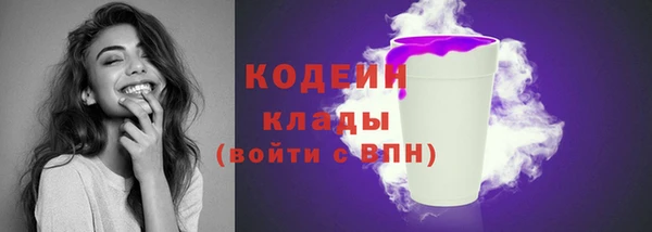 индика Куйбышев