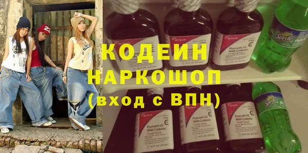 ешки Корсаков