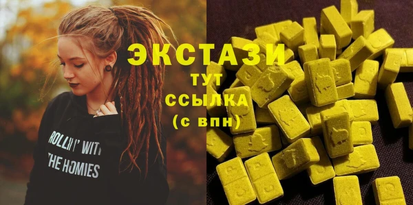 крисы Коряжма