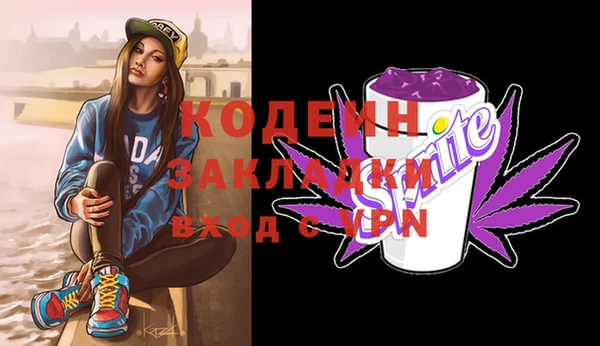 ешки Корсаков