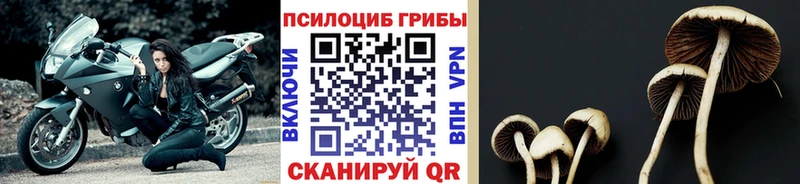Галлюциногенные грибы мицелий  ОМГ ОМГ ссылка  Удачный  хочу наркоту 